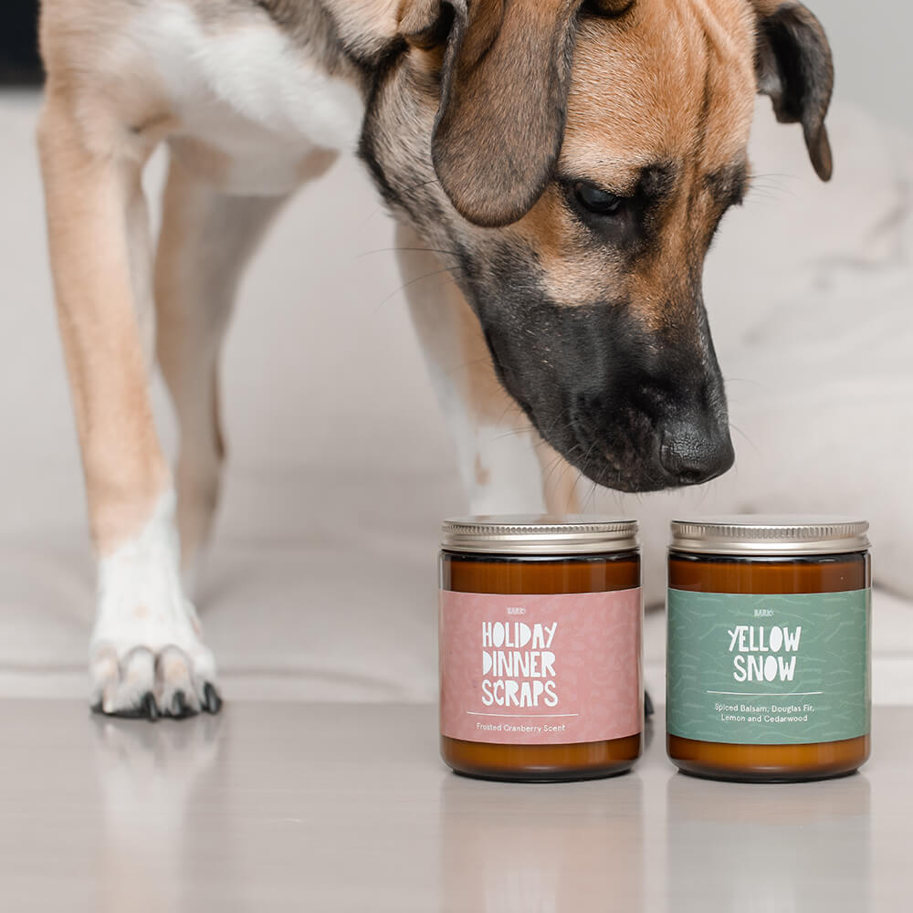 Bark-Holiday-Candles2