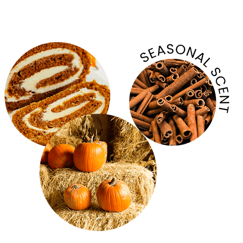Golden Pumpkin