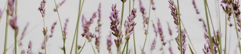 mobile-herbal-ok